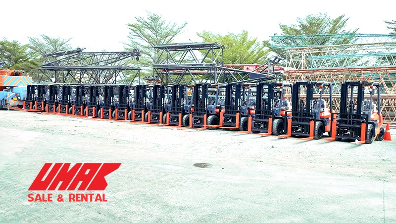 dich-vu-tu-van-cho-thue-xe-nang-hang-dai-han