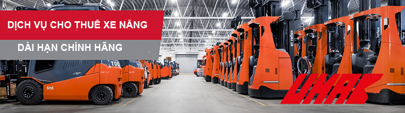 dich-vu-tu-van-cho-thue-xe-nang-hang-dai-han