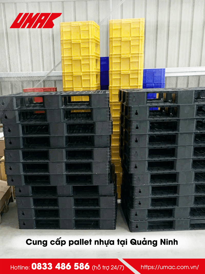 U-MAC Việt Nam đã thực hiện cung cấp pallet nhựa tại Quảng Ninh