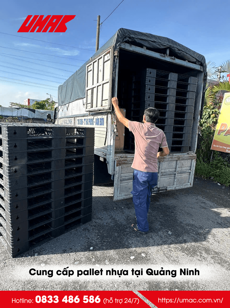 Cung cấp pallet nhựa tại Quảng Ninh